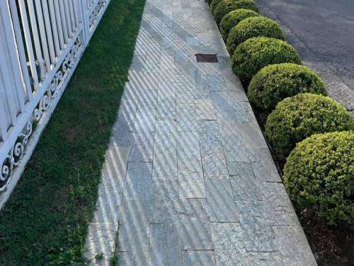 Merged "Lagoa Santa" stone