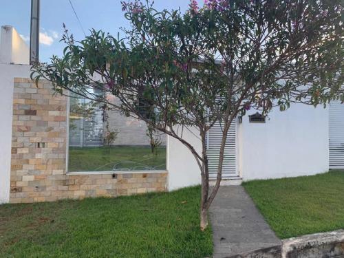 Merged "São Tomé" quartzite stone