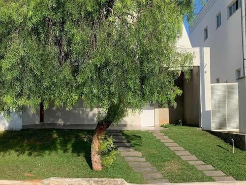 miracema cinza 40x40